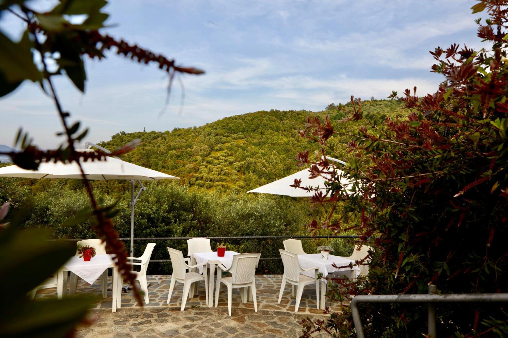 Il Vecchio Frantoio Villa Stella Cilento Eksteriør billede