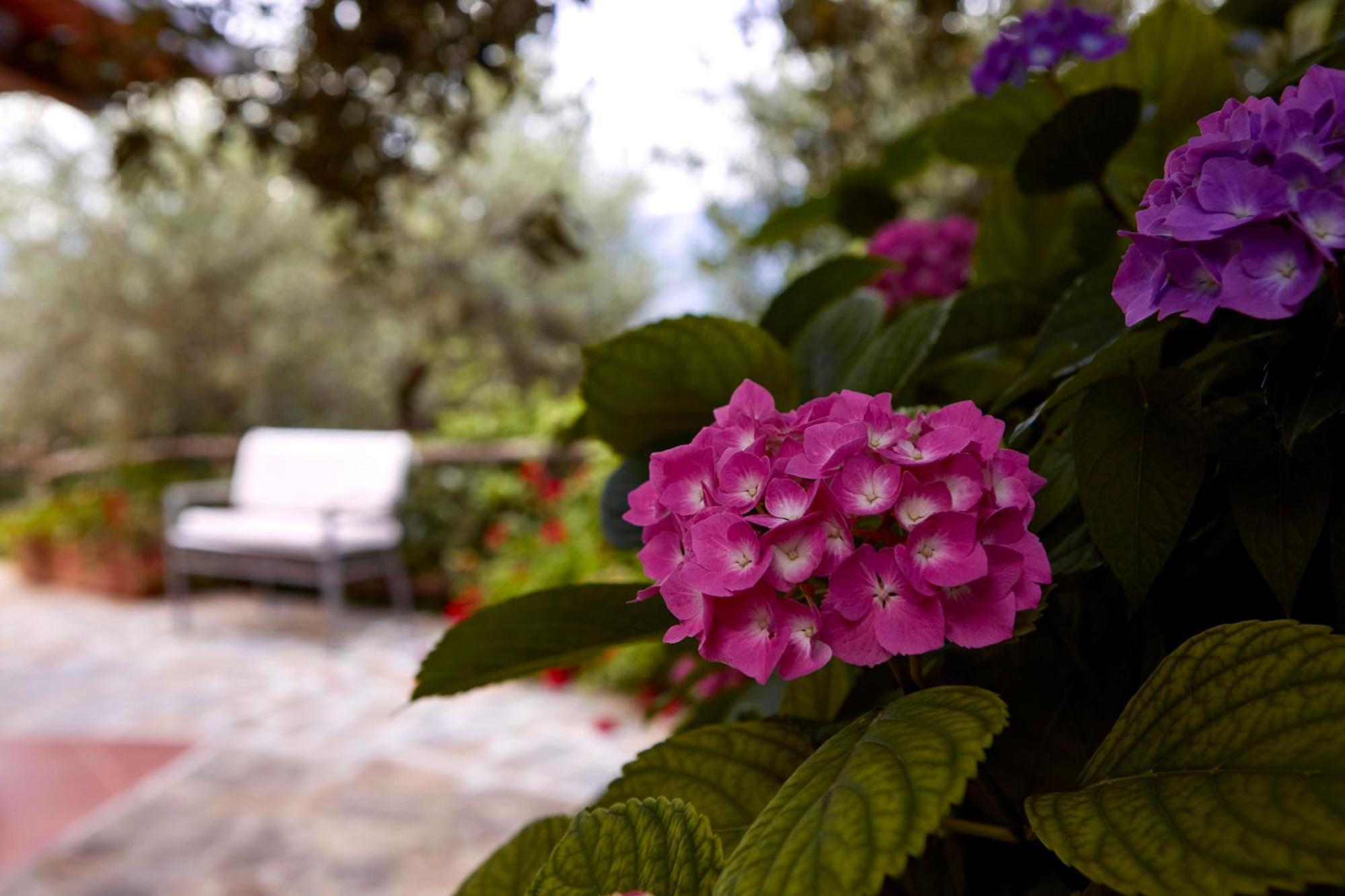 Il Vecchio Frantoio Villa Stella Cilento Eksteriør billede