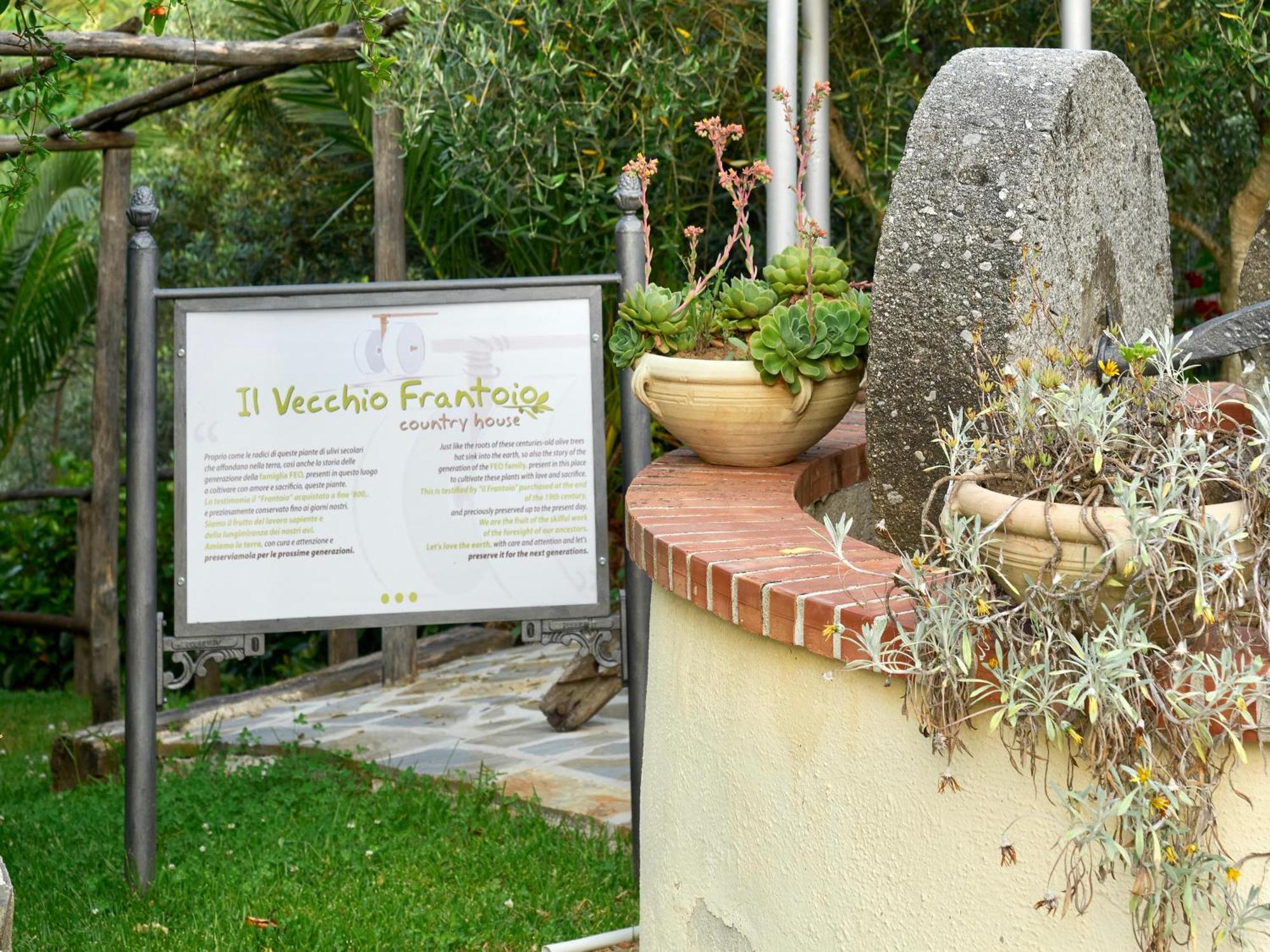 Il Vecchio Frantoio Villa Stella Cilento Eksteriør billede
