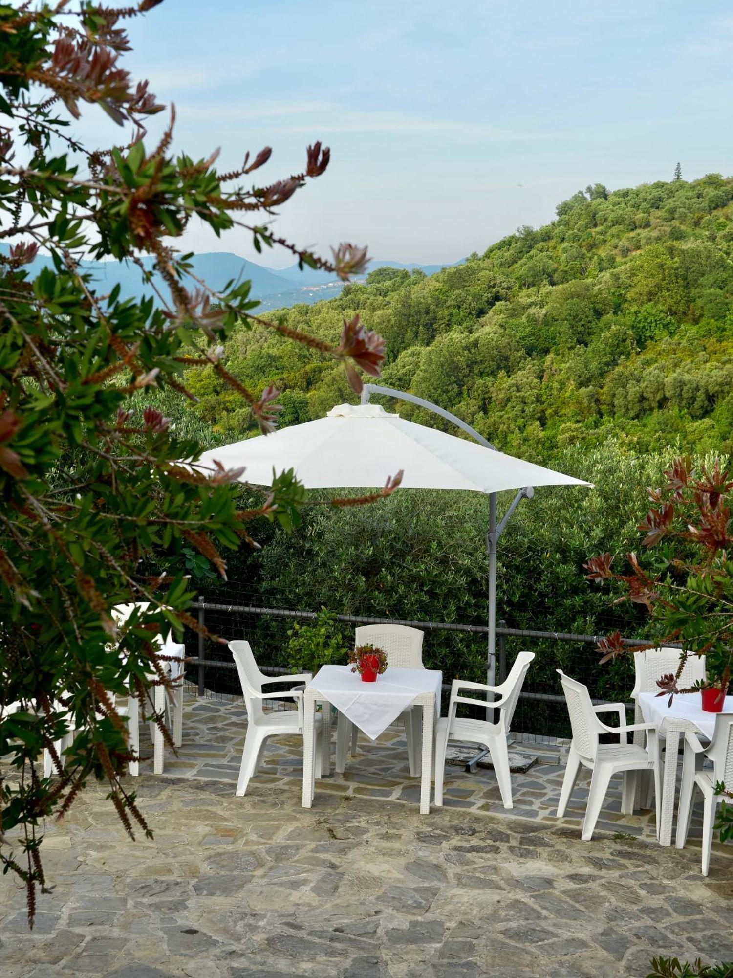 Il Vecchio Frantoio Villa Stella Cilento Eksteriør billede