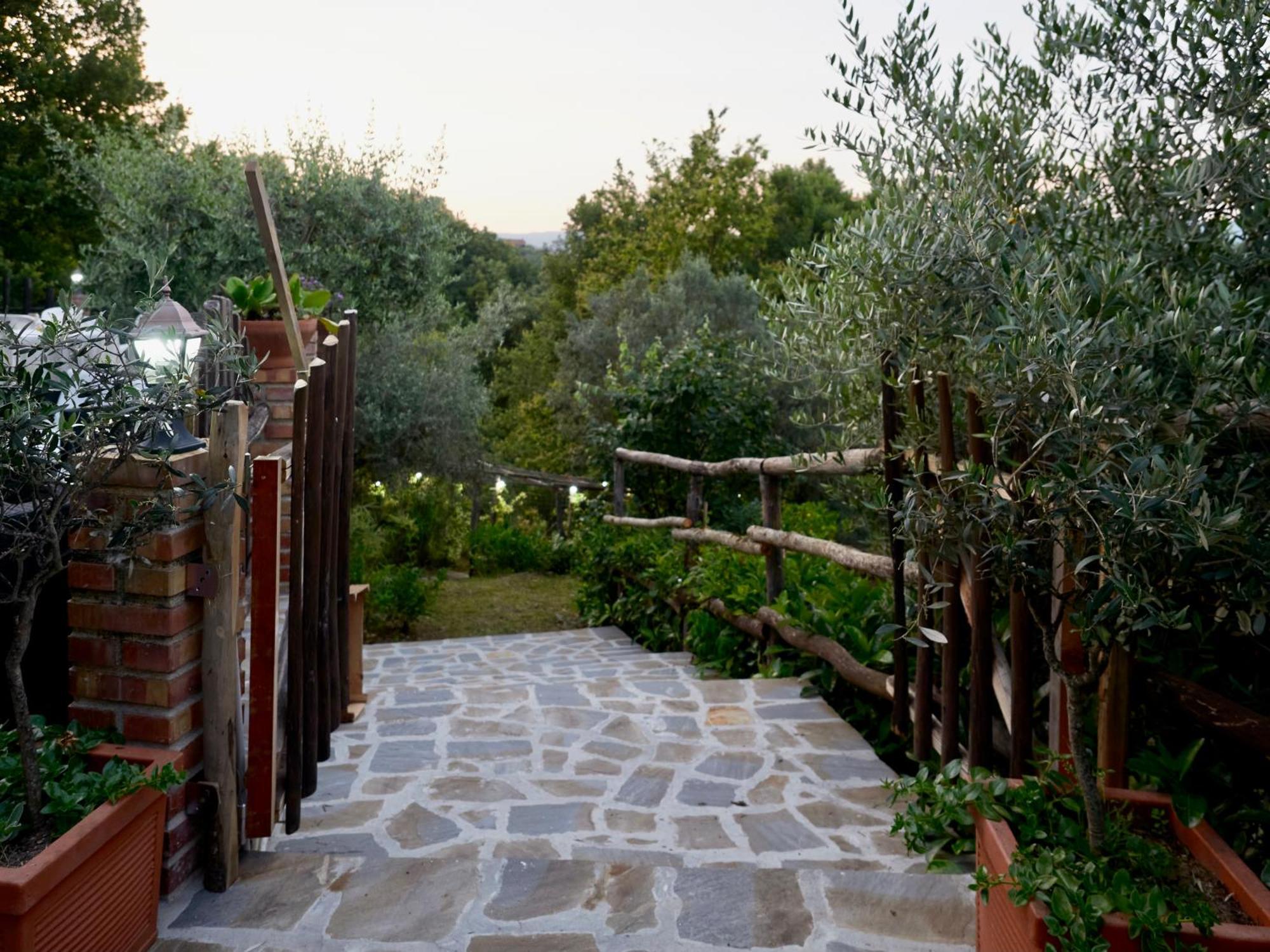 Il Vecchio Frantoio Villa Stella Cilento Eksteriør billede